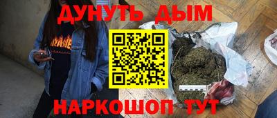 кокс Можга