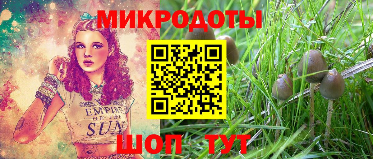 Галлюциногенные грибы Cubensis Богородск